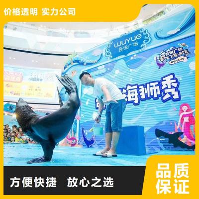 南安市分公司 專業出租表演鸚鵡，打造難忘動物展覽體驗